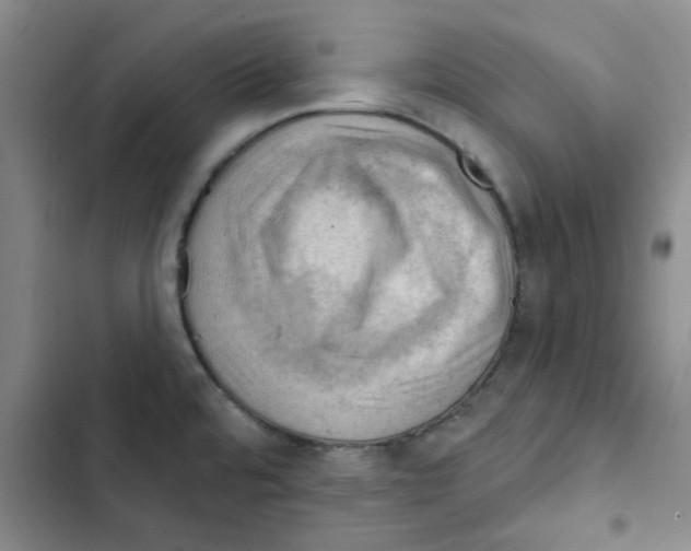 X0000102871480200809151223