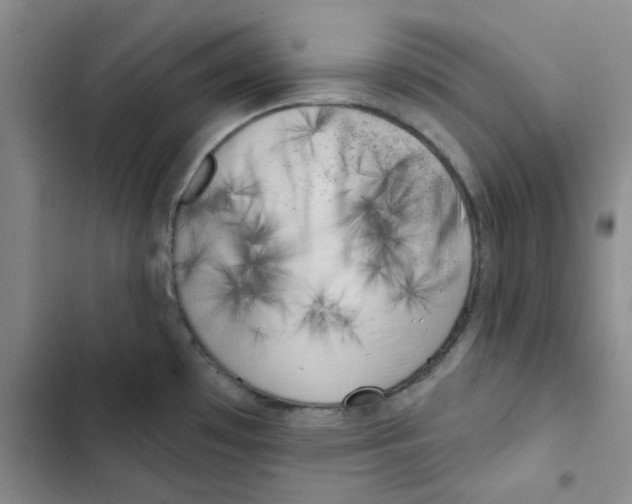 X0000102871481200809151223
