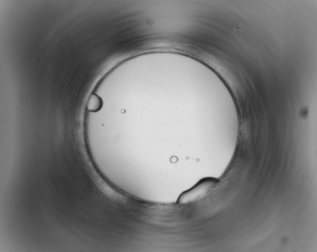 X0000102871482200809151223