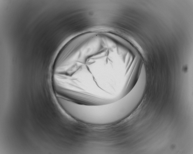 X0000102871484200809151223