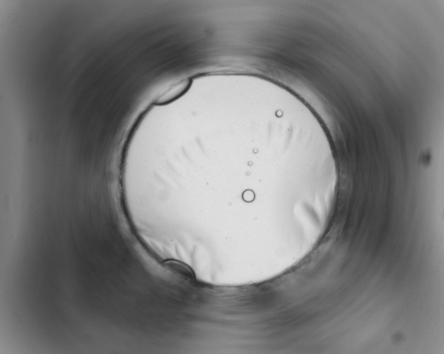 X0000102871485200809151223