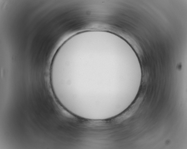 X0000102871486200809151223