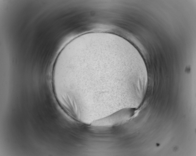 X0000102871487200809151223