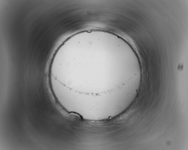 X0000102871488200809151223