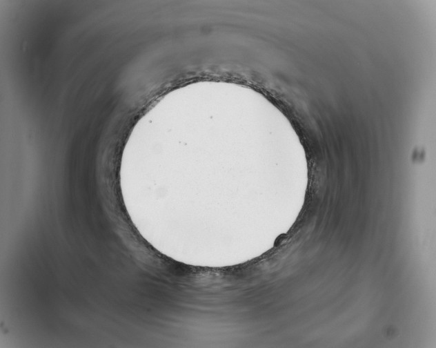 X0000102871489200809151222