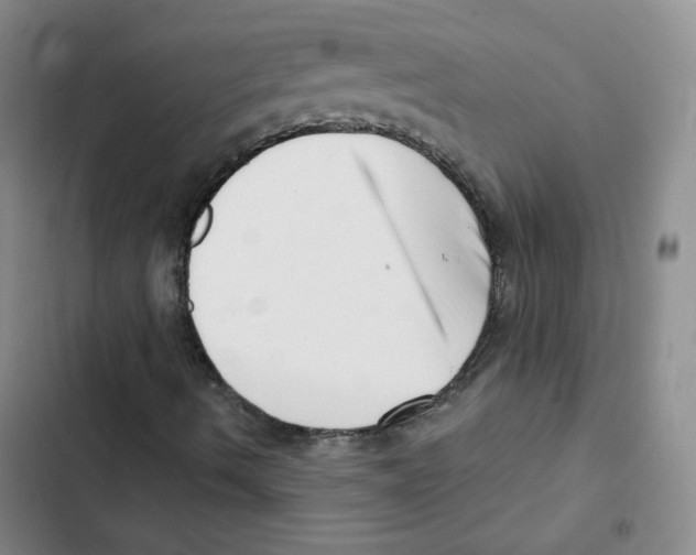 X0000102871490200809151222