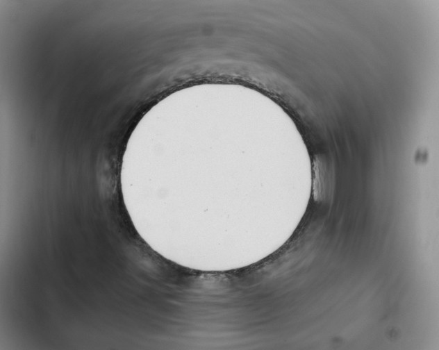 X0000102871491200809151222