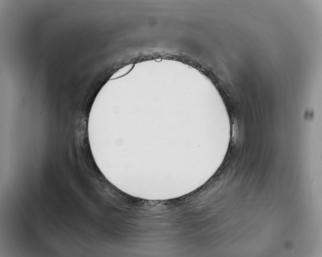 X0000102871492200809151222