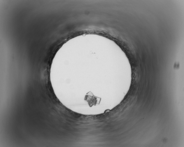 X0000102871493200809151222