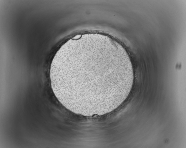 X0000102871494200809151222