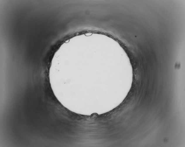 X0000102871495200809151222