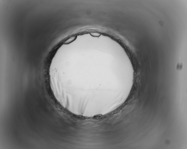 X0000102871496200809151222