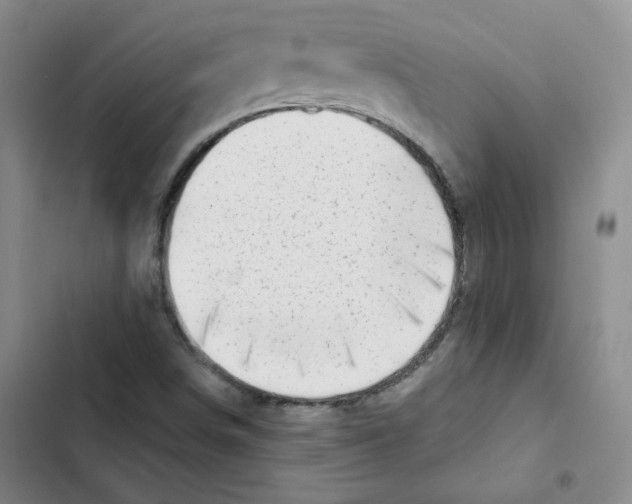 X0000102871498200809151222