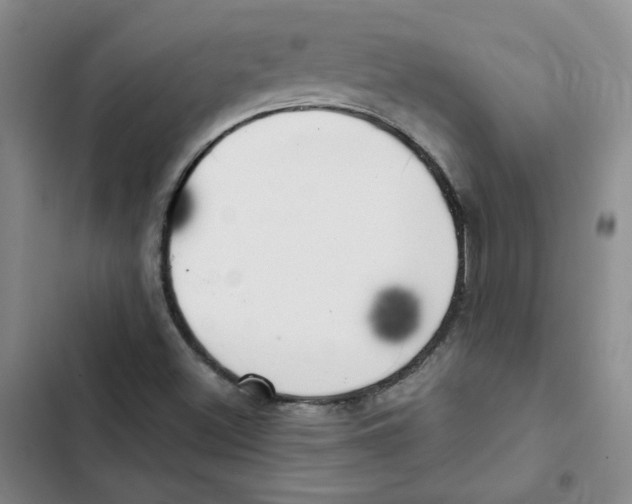 X0000102871500200809151222