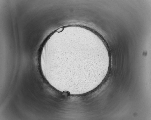 X0000102871501200809151222