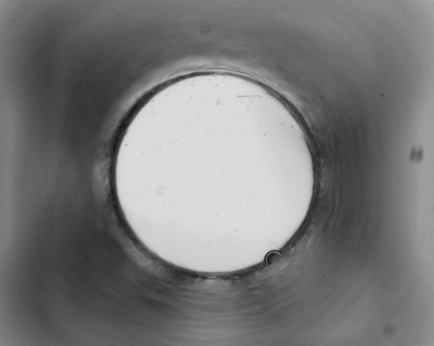 X0000102871503200809151223