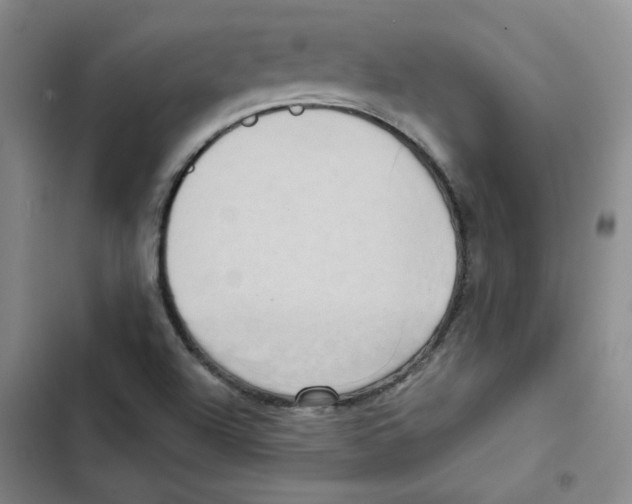 X0000102871504200809151223