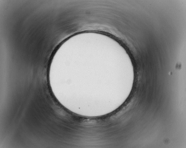 X0000102871505200809151223