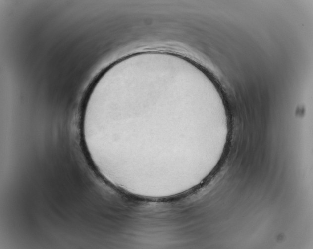 X0000102871506200809151223