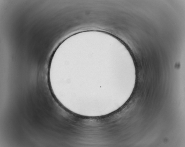 X0000102871508200809151223