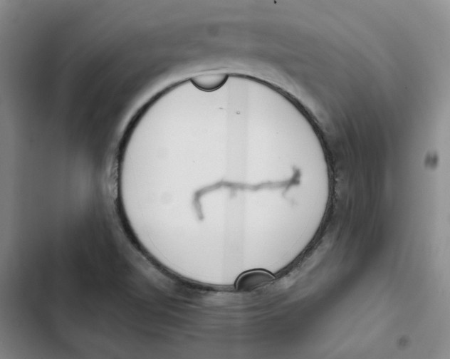 X0000102871510200809151223