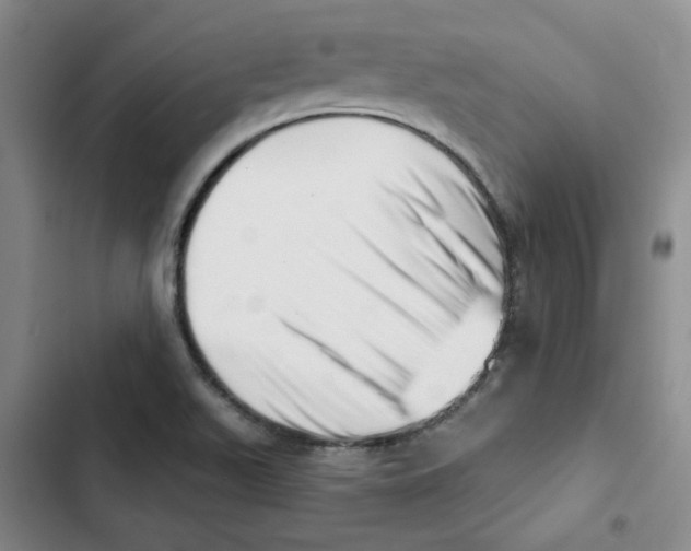 X0000102871511200809151223