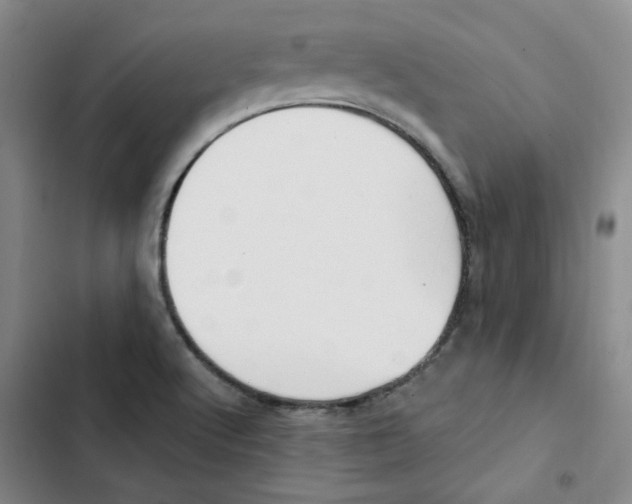 X0000102871512200809151223