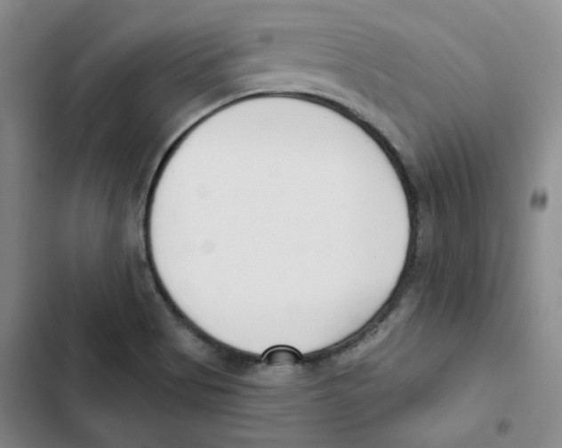 X0000102871513200809151223