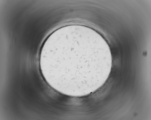 X0000102871514200809151223