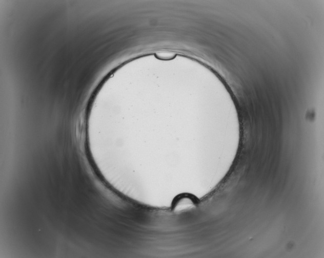 X0000102871515200809151223