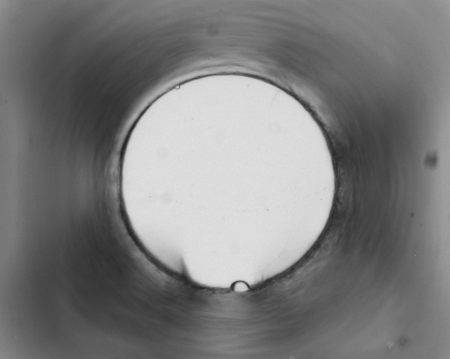 X0000102871516200809151223