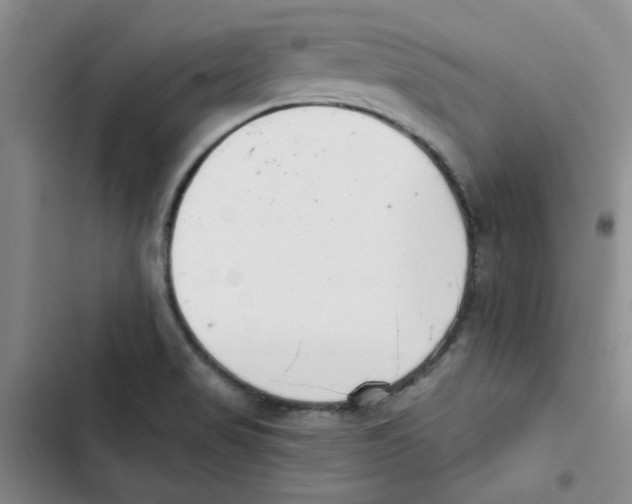 X0000102871517200809151223