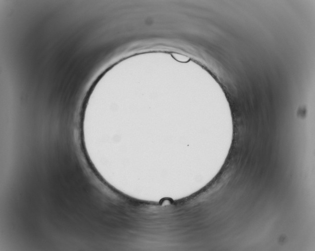 X0000102871518200809151223