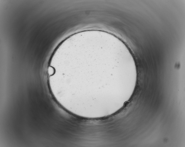 X0000102871519200809151223