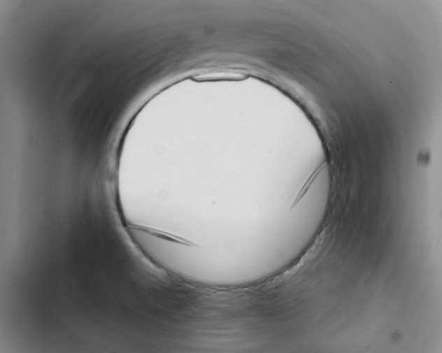 X0000102871520200809151223