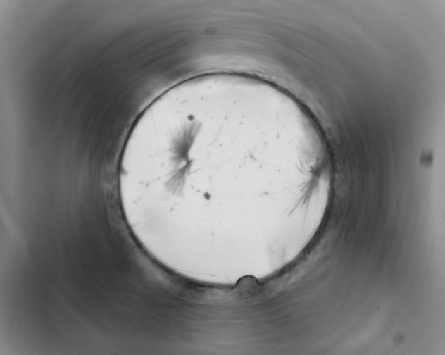 X0000102871521200809151223