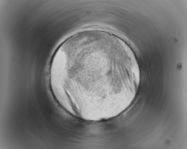 X0000102871522200809151223