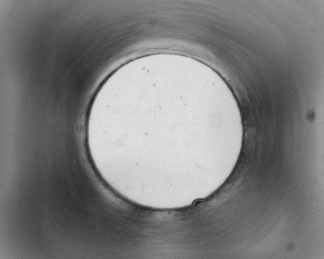 X0000102871523200809151223