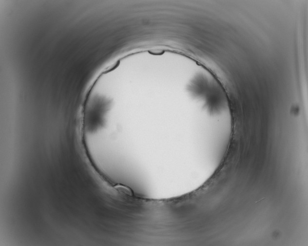 X0000102871524200809151223