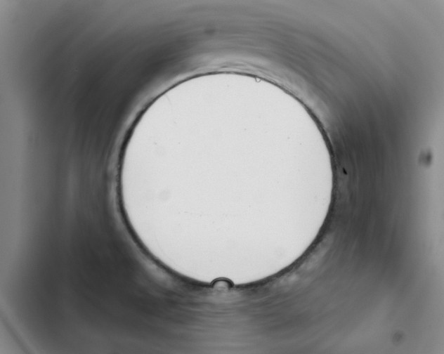 X0000102871525200809151223