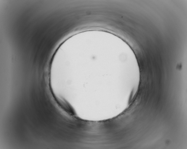 X0000102871526200809151223