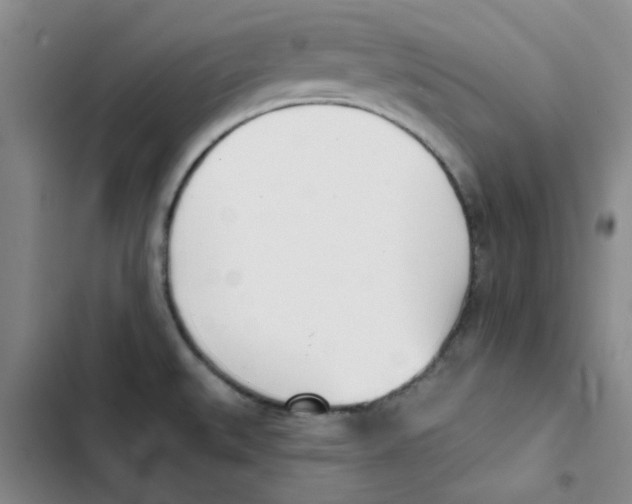 X0000102871527200809151223