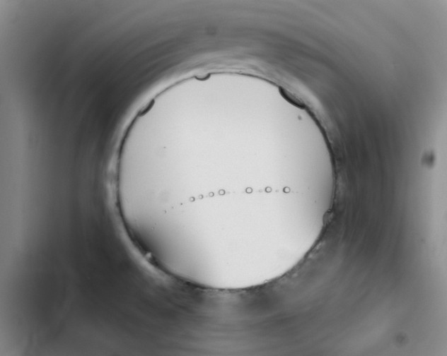 X0000102871528200809151223