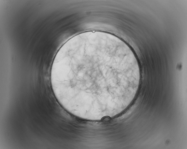 X0000102871529200809151223