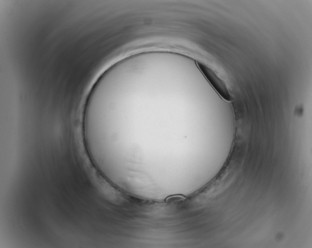 X0000102871530200809151223