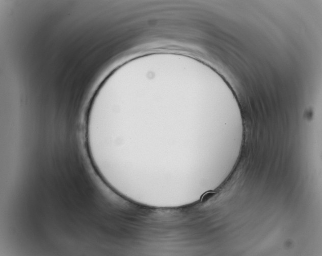 X0000102871531200809151223