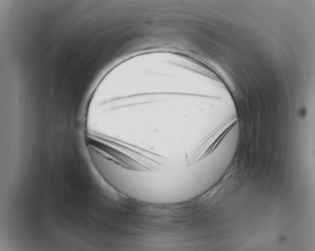 X0000102871532200809151223