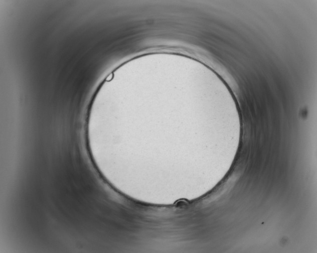 X0000102871533200809151223