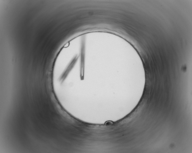 X0000102871534200809151223