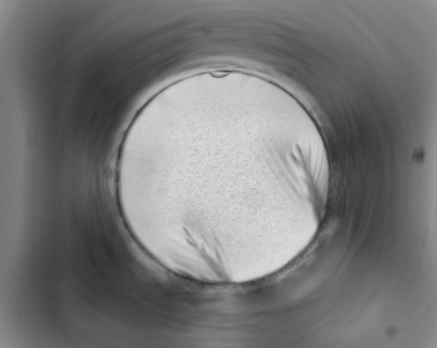 X0000102871535200809151223